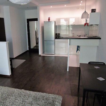 Mone - Fajny Apartament W Centrum Wroclawia 外观 照片
